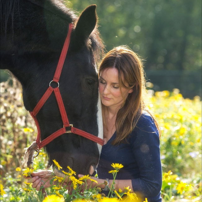 Meditate With Horses