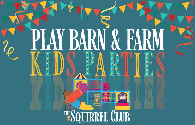 Children's play barn party