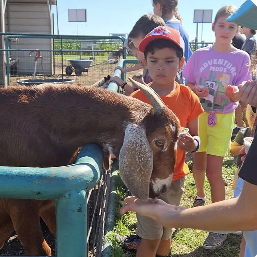 Homeschool Education Day