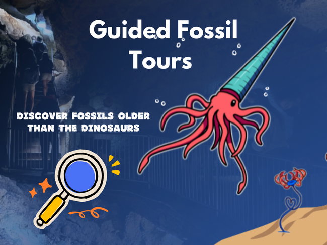 Guided Fossil Tour