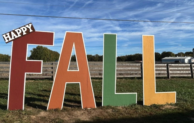 Thrifty Thursday Fall Festival General Admission
