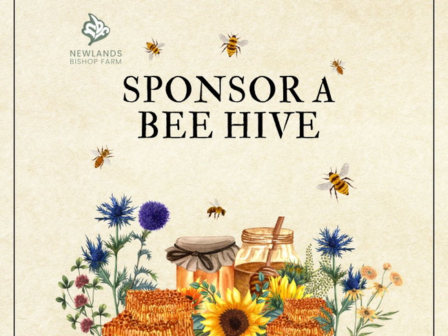 Sponsor a beehive