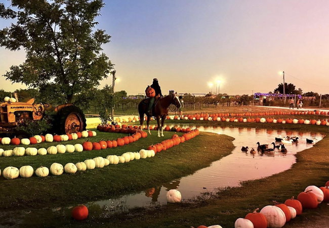 Fall Admission Tickets