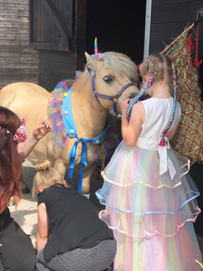 Family Unicorn Experience - Family Ticket