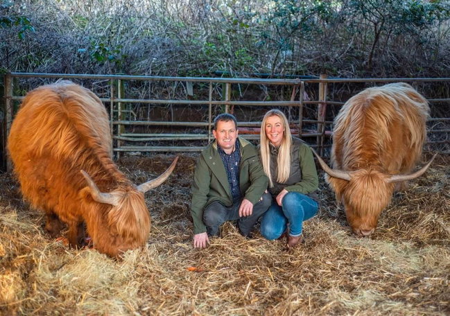 Highland Cow Experience