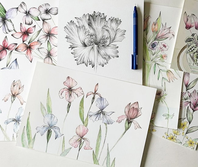 Pen and Watercolour Workshop with Kate Dawes