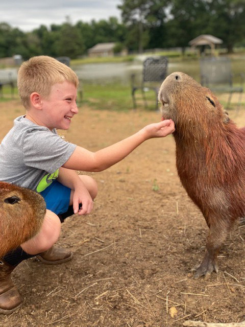 Private Animal Encounter