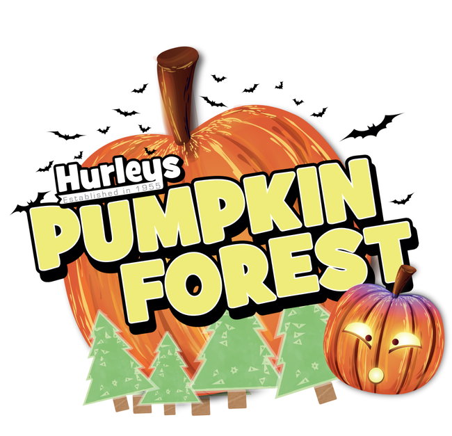 Hurley's Pumpkin Forest
