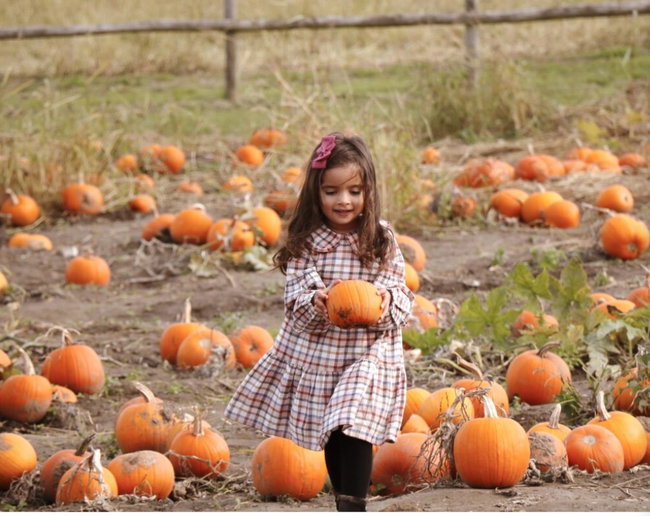 Beckevans farm Pumpkin festival
