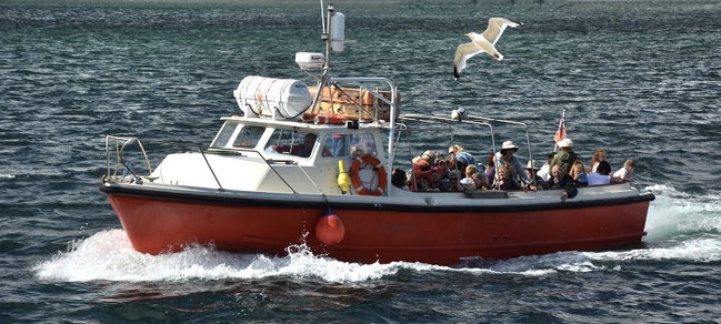 One-Hour Seal Trip