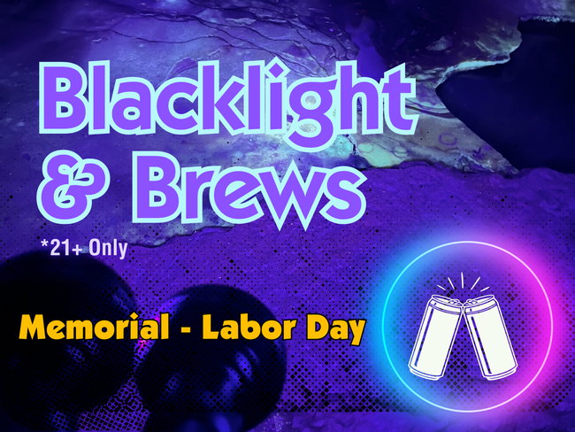 Gift Guided Blacklight and Brews Tour