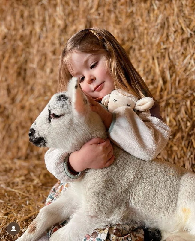 Lamb Cuddles Easter Half Term