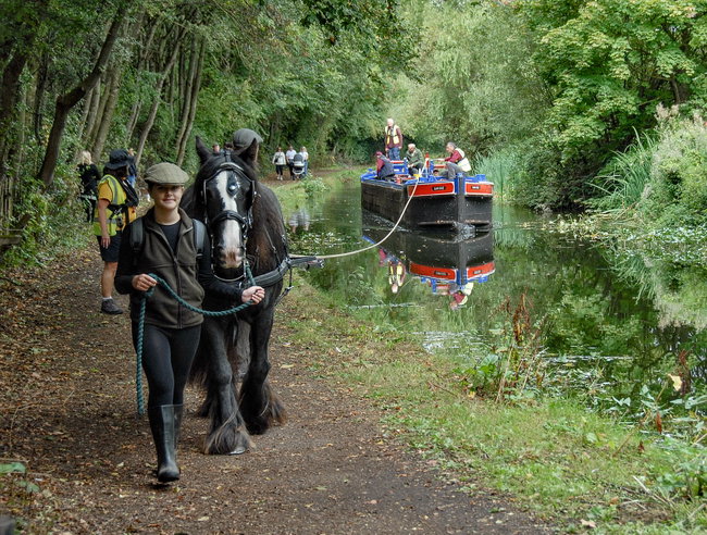 Horse pull