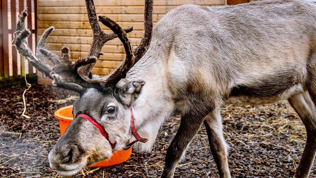 Private Animal Handling and Petting experience 