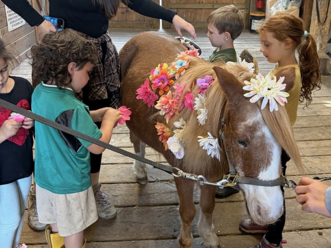 Ponies, Parents & Me
