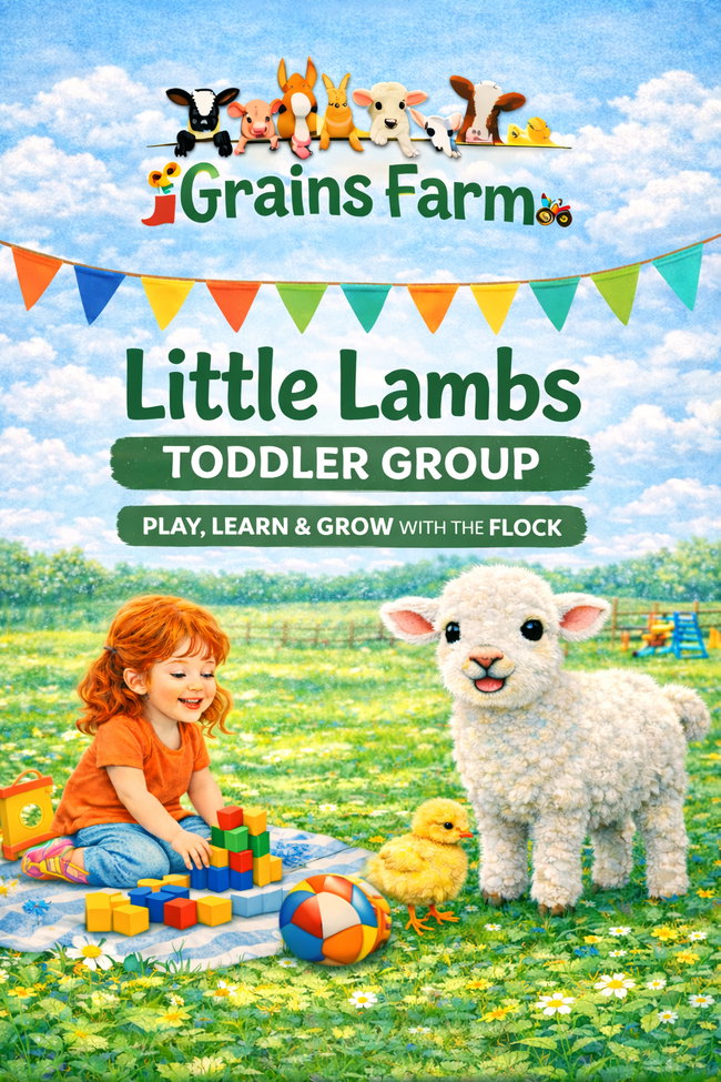Little Lambs Toddler Group 
