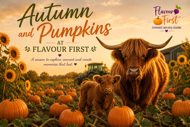 Autumn at Flavour First 