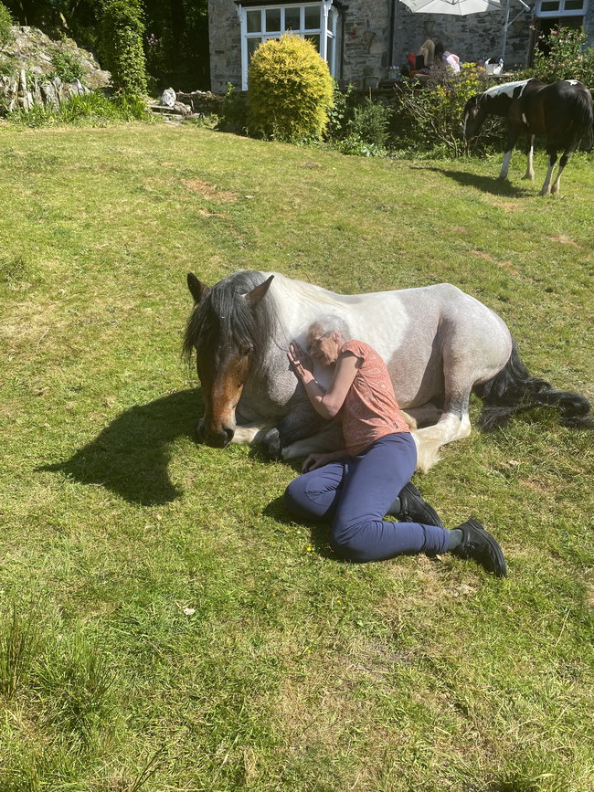Equine Therapy