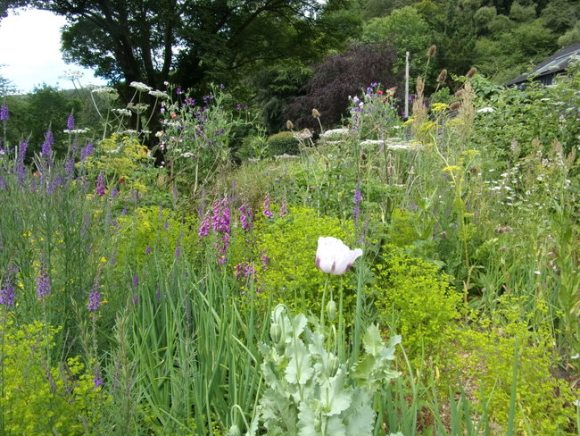 Garden Admission  June and July and  Thurs and  Friday
