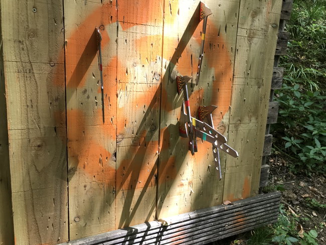 Axe Throwing