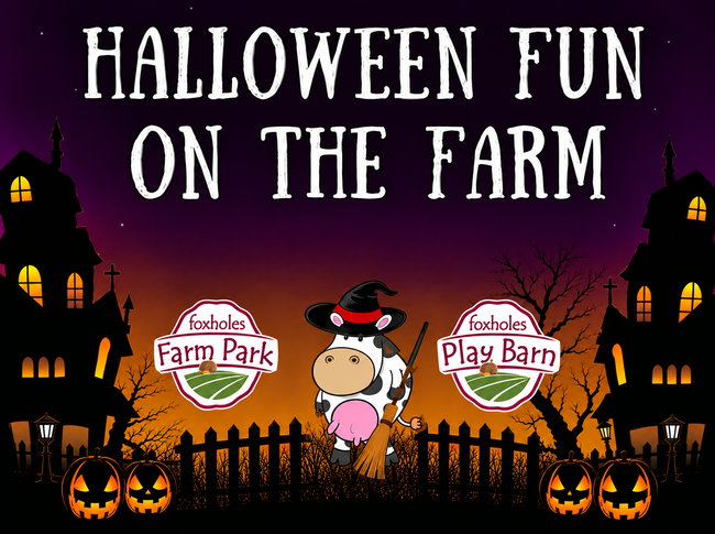 Halloween Fun on the Farm Only (No Indoor Play Barn)