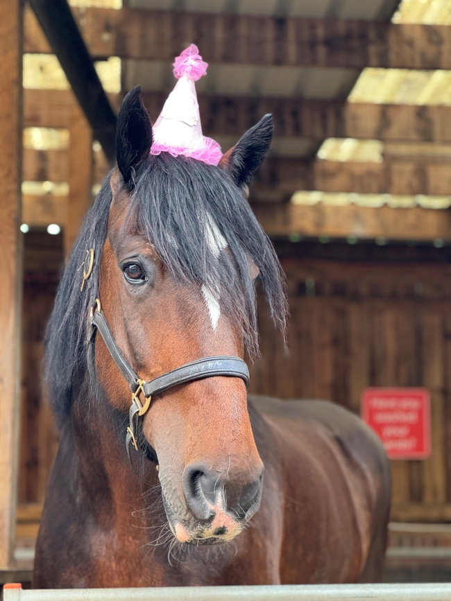 Book A Birthday Party!