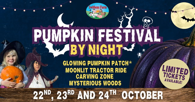 Swithens Pumpkin Festival By Night  - Event Only - The Farm is Closed