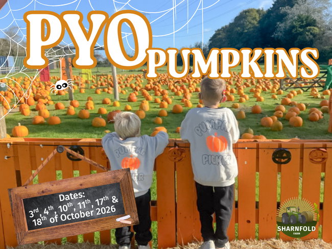 PYO Pumpkins