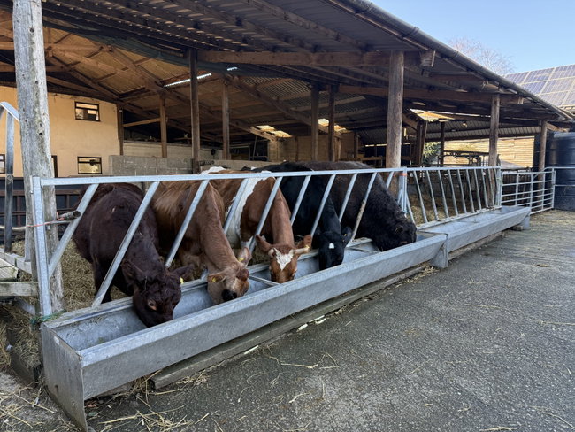 Holiday Farmer - The early one : 8.30-10.00am