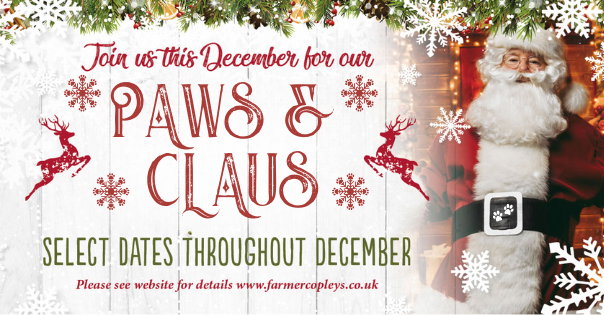 Paws & Claus (Santa's Dog Grotto)