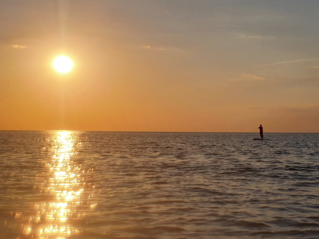 Paddle board hire