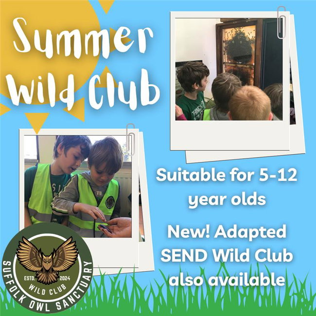 Summer Wild Club - 7 - 12 years 