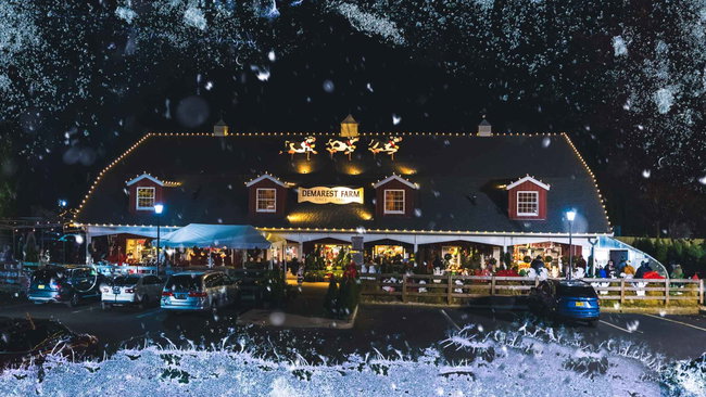 ✨ Light Show + Winter Lights Petting Zoo Bundle - VIP ($69) - choose tickets, then pick an available date!