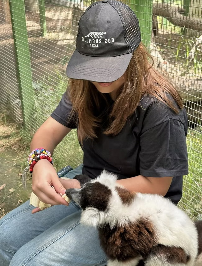 Lemur Encounter