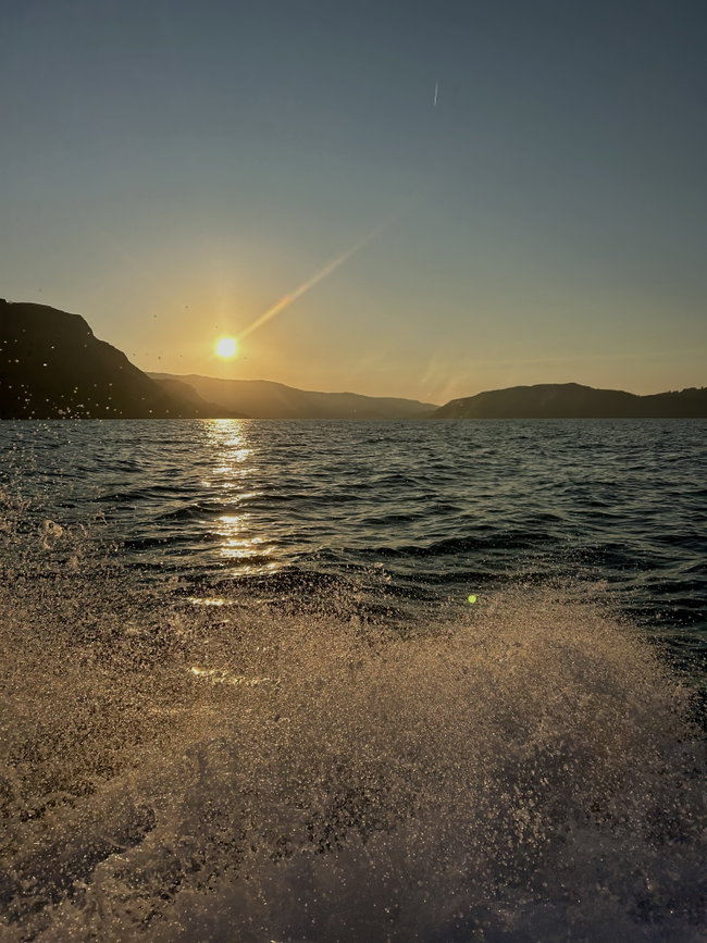 RIB Trip: Evening Wildlife Spotting Trip