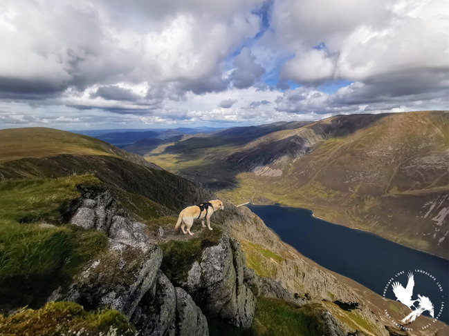 Stories on top of the world – Glen Feshie, Lore & History Walk (7-8 hours, 16km, 850m ascent) Private Group Booking