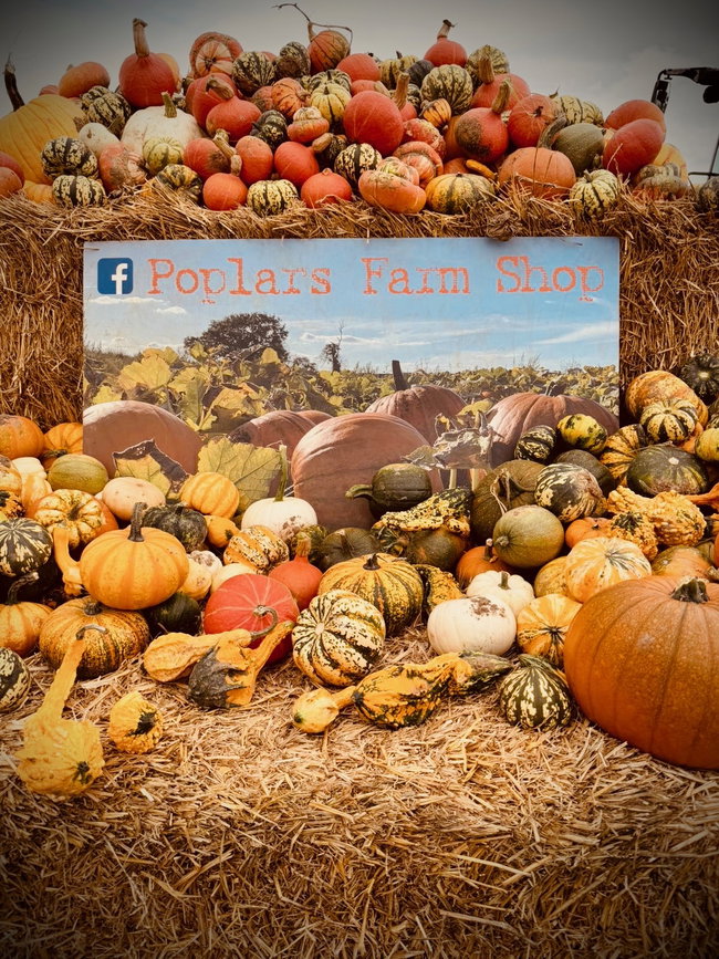 Halloween 2026 at Poplars Farm