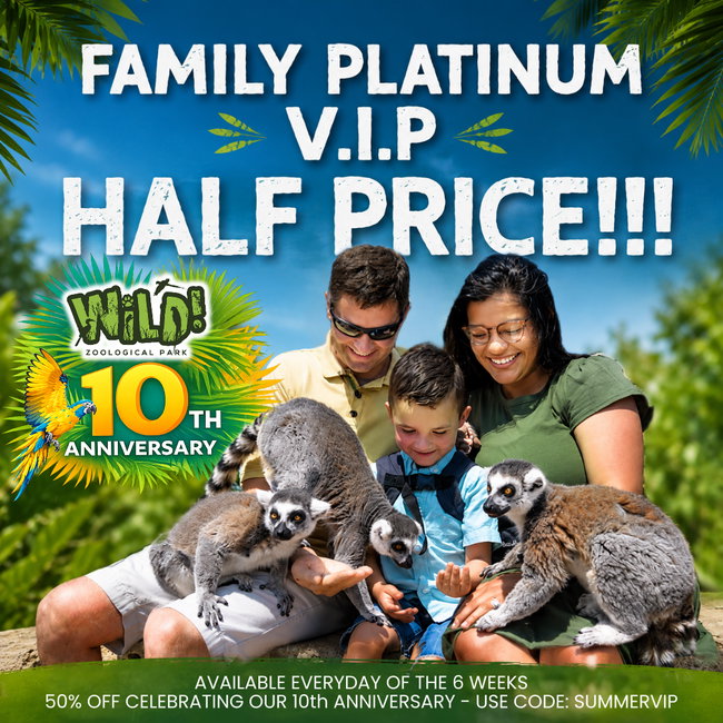 Platinum V.I.P Family Experience for 4 (USE CODE SUMMERVIP)