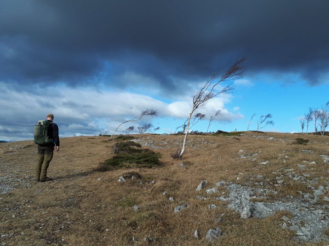 The Woodsman’s Walk - A full day guided walk in South Lakes with Green Man Survival