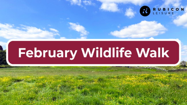 February Wildlife Walk