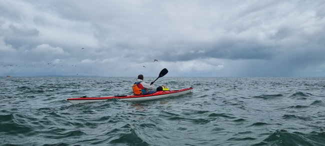 1 Day Intermediate Sea Kayaking Course