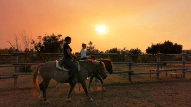 Healing on horseback