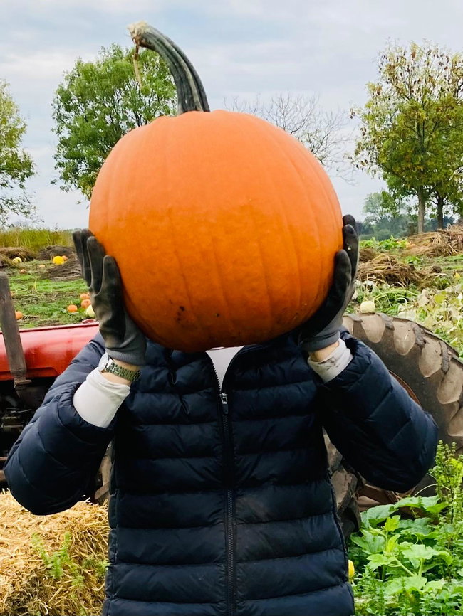 Pumpkin Picking Tickets 