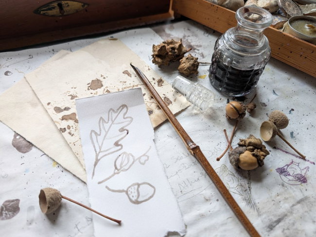 Mote Park | Tales in the Trees - walk and workshop | Wednesday 14 October