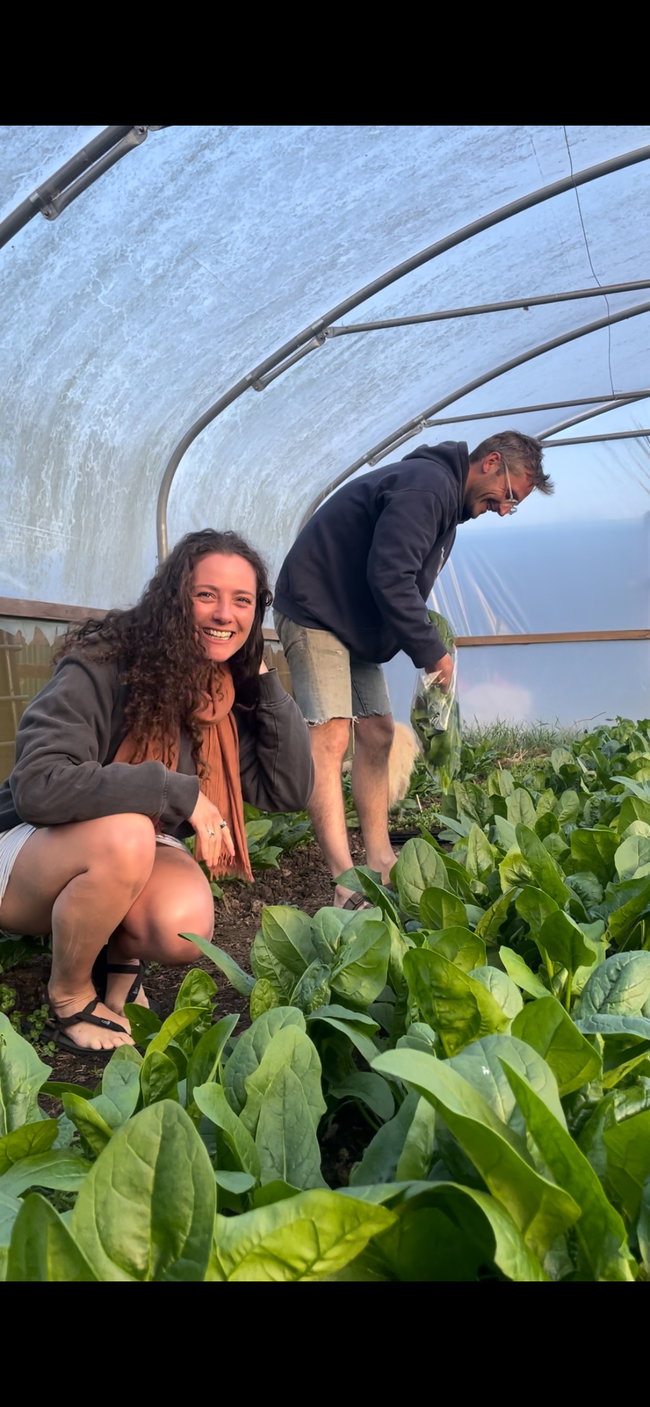 Volunteer Days at Earthbound