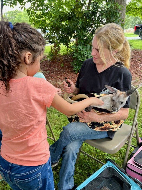 Bring the Animals to You!