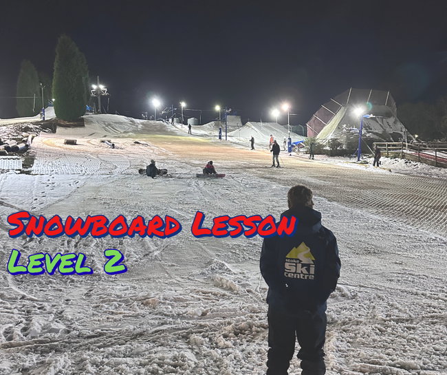 Adult Board Lesson - Level 2   (12+)