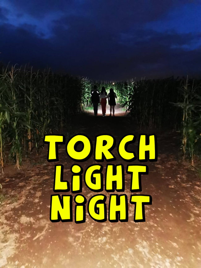 Torch Light Nights