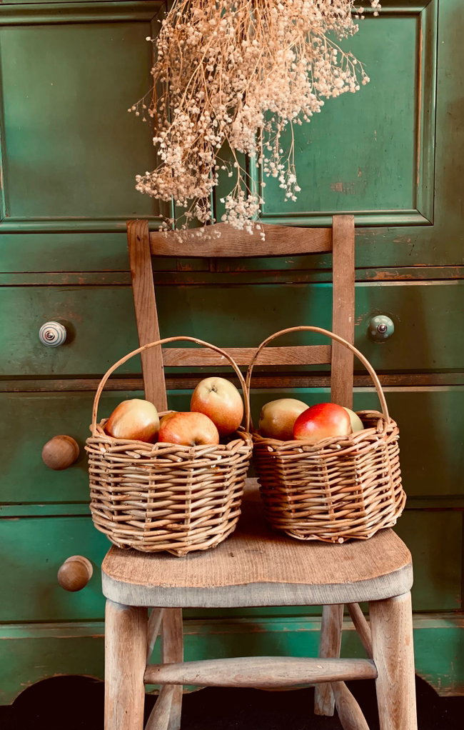 Willow Basket Weaving Workshop - Intermediate