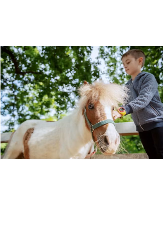 Pony Pals Woodland Adventure 
